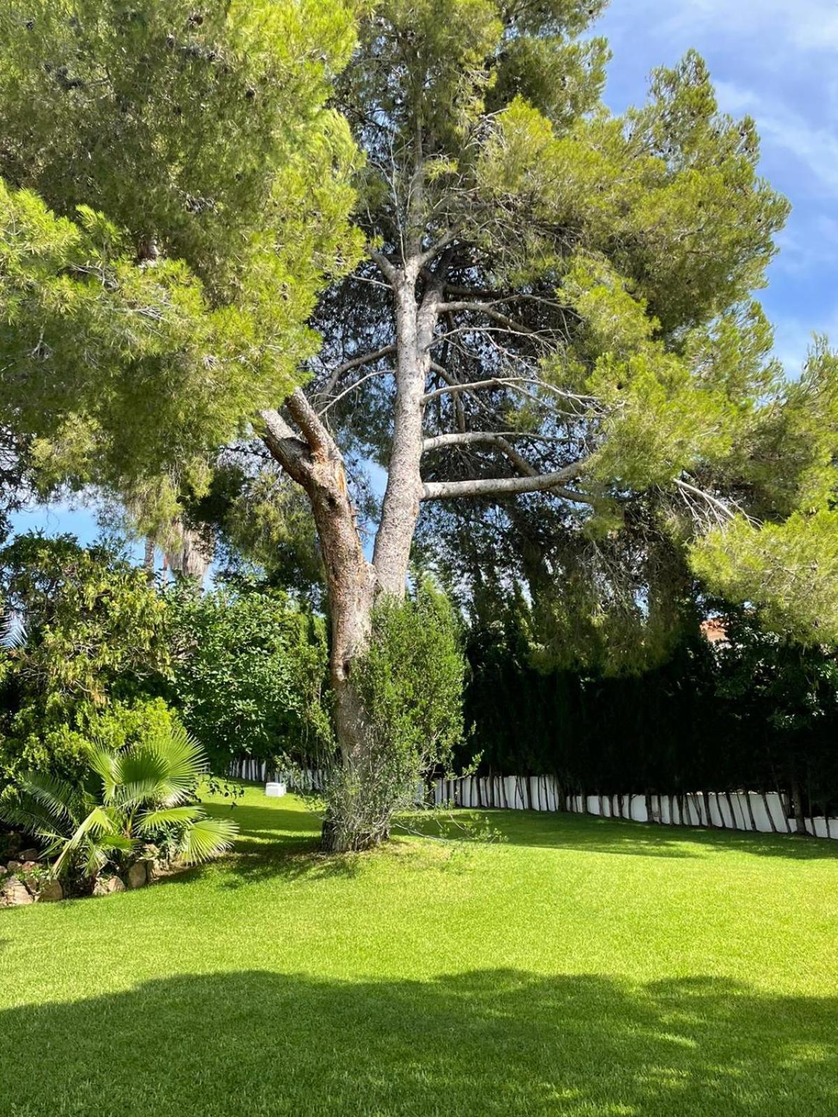 Casa mediterránea con gran jardín y piscina a 500 m de la playa Roda de Bará Exterior foto